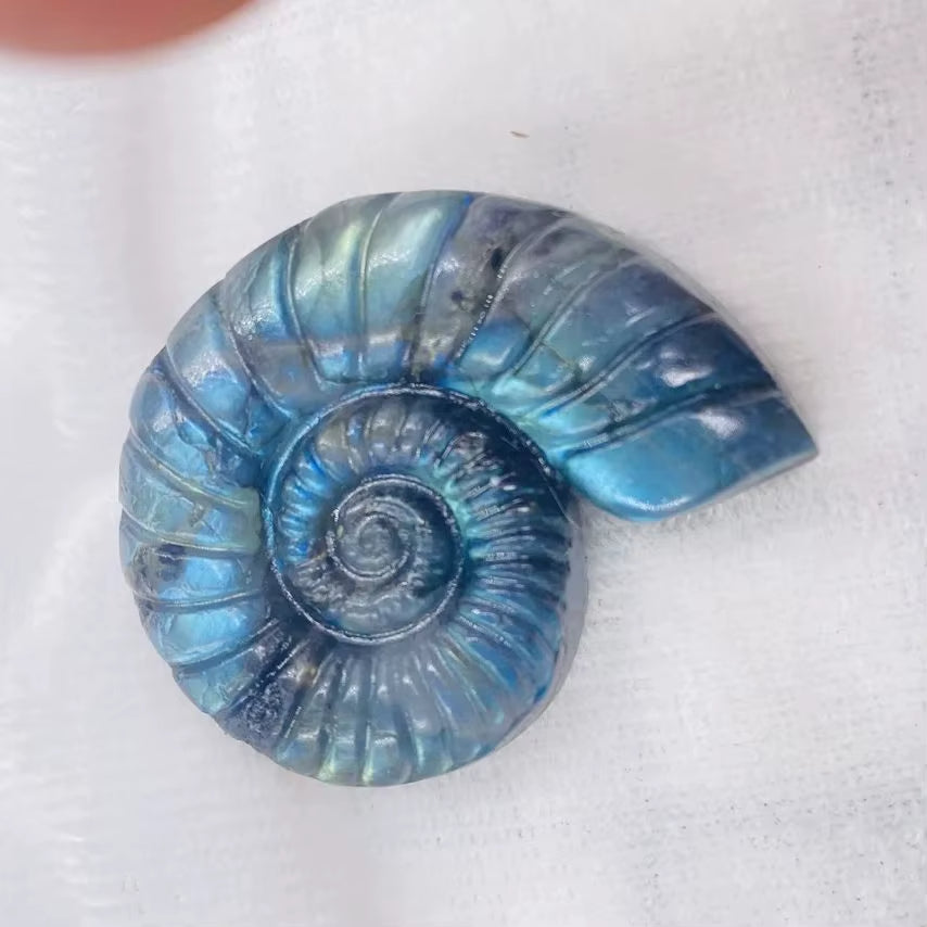 Labradorite en Forme d’Escargot
