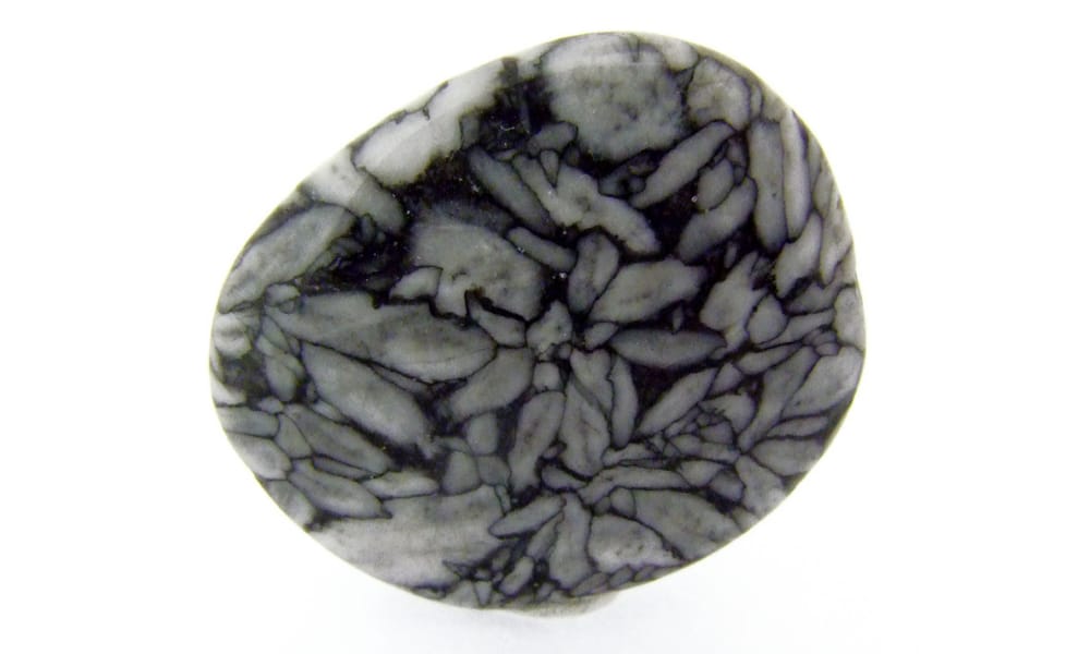 La Pinolite Image