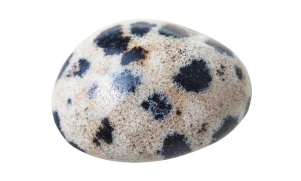 Le Jaspe Dalmatien