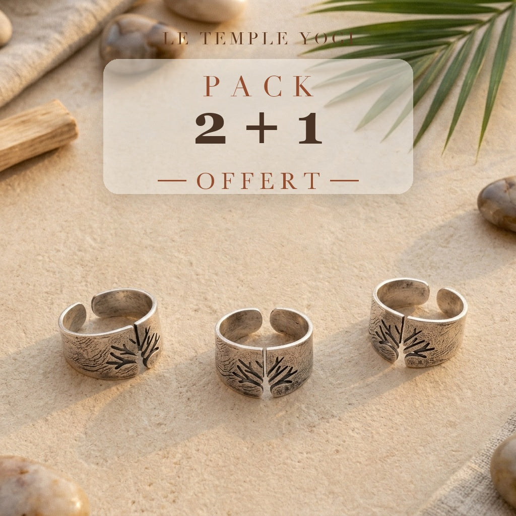 Pack 2+1 offert