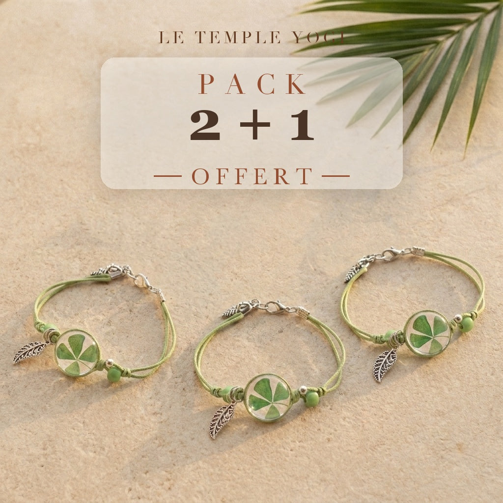 Pack 2+1 offert