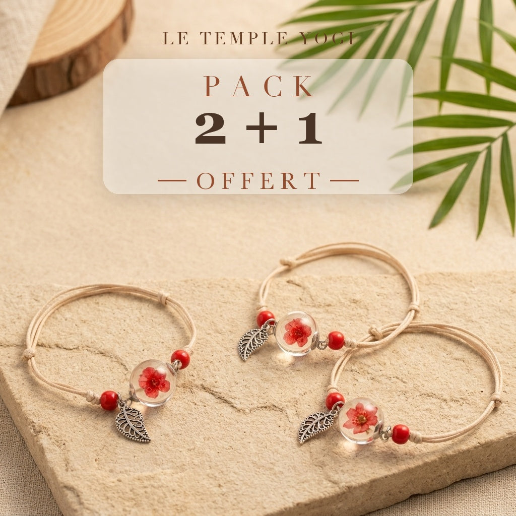 Pack 2+1 offert