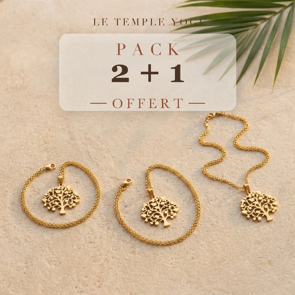 Pack 2+1 offert