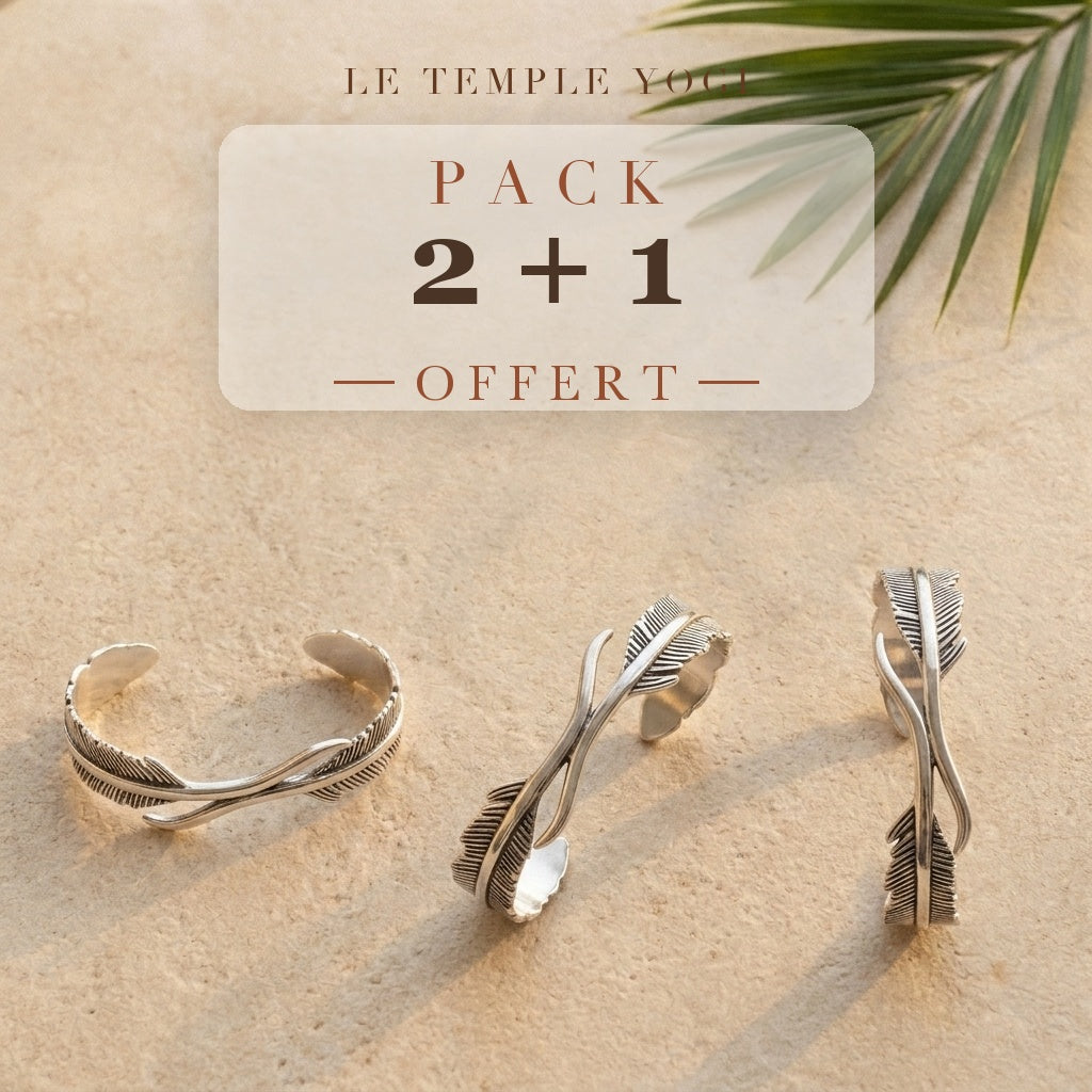 Pack 2+1 offert