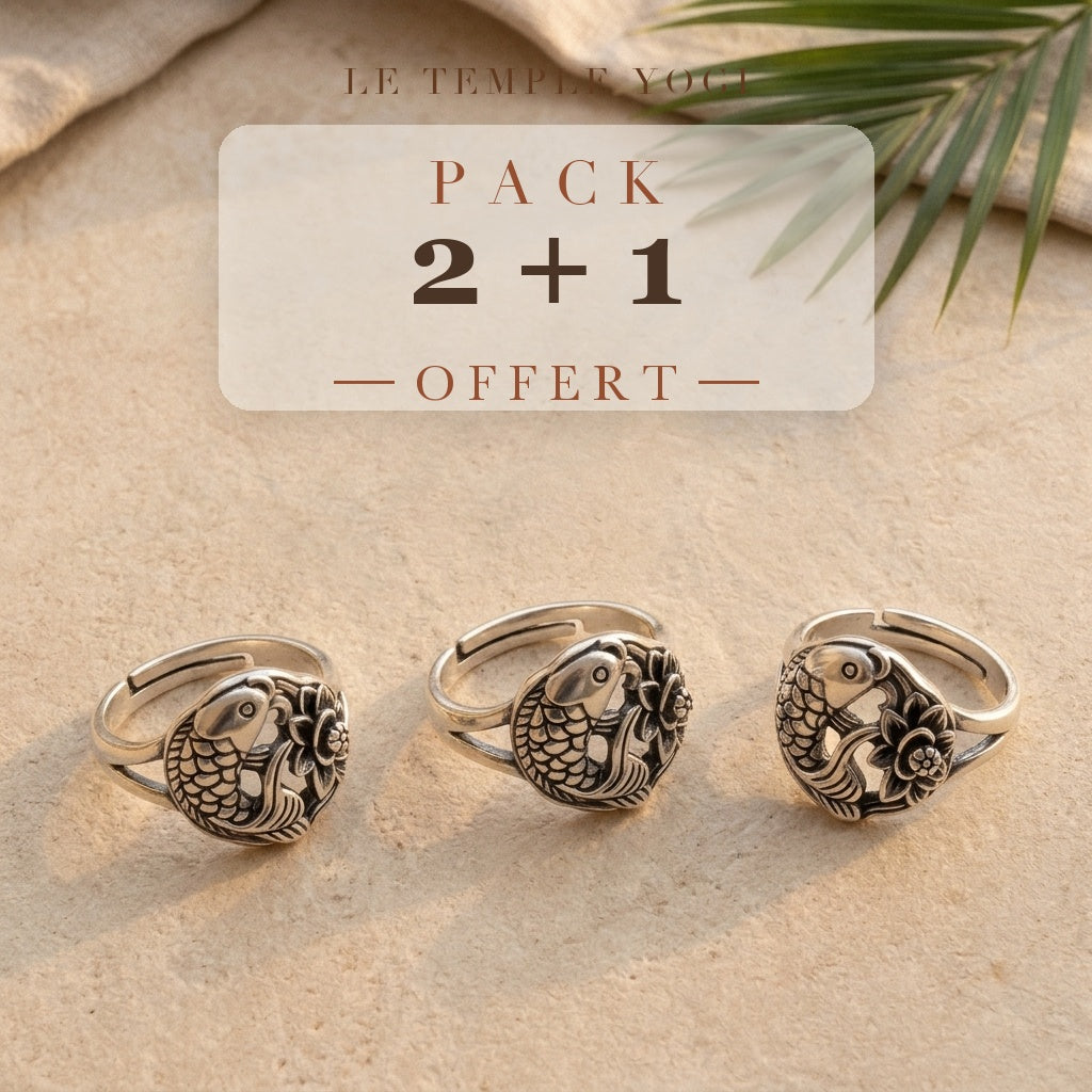 Pack 2+1 offert