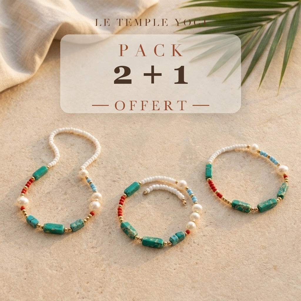 Pack 2+1 offert