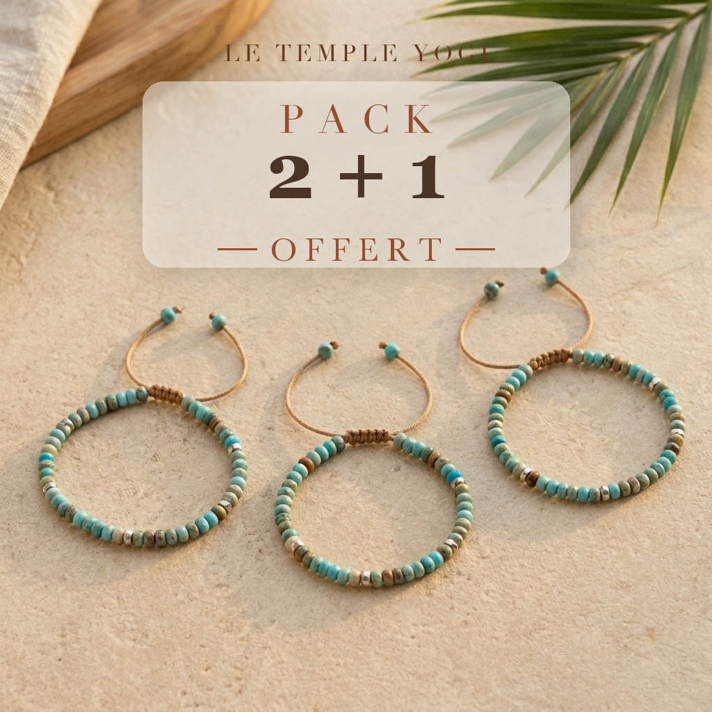 Pack 2+1 offert