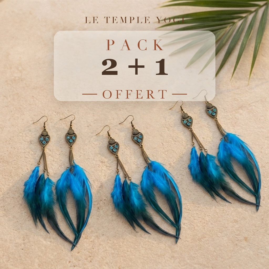 Pack 2+1 offert