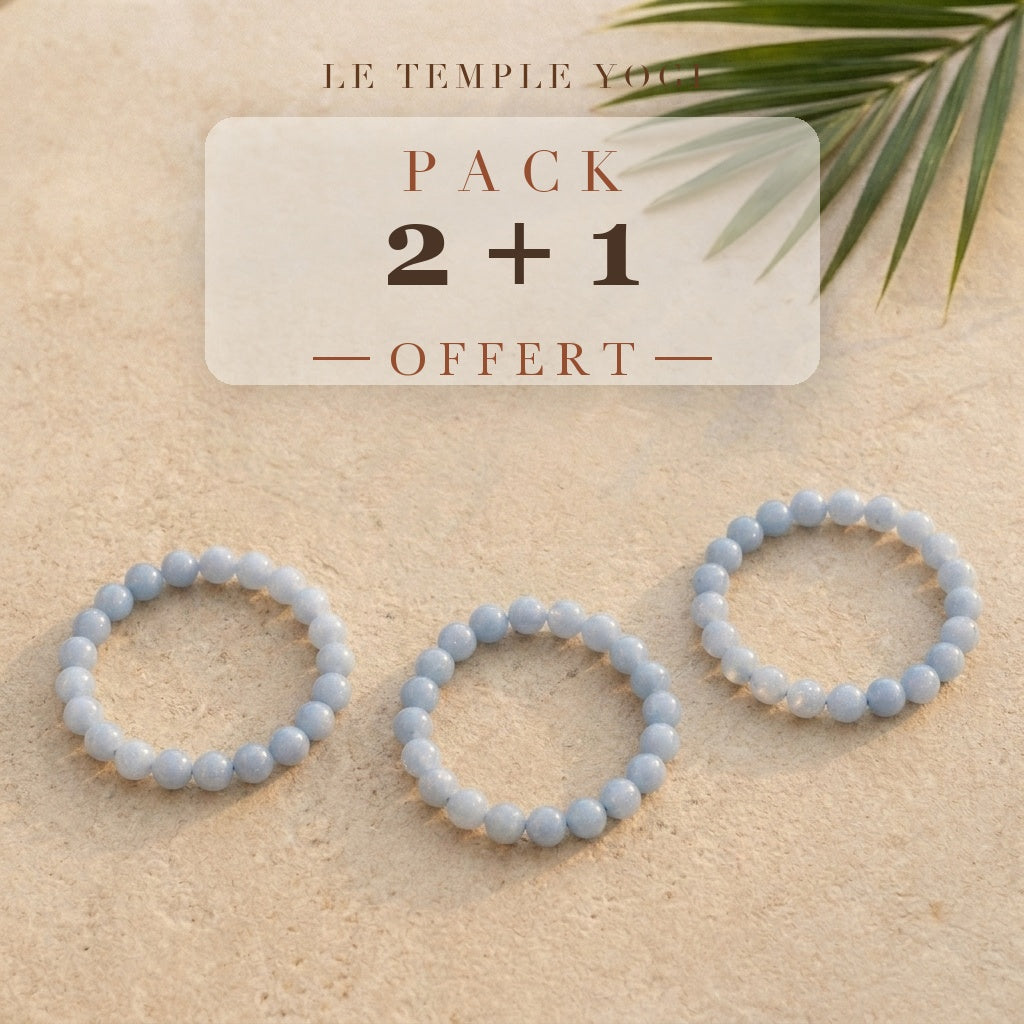 Pack 2+1 offert