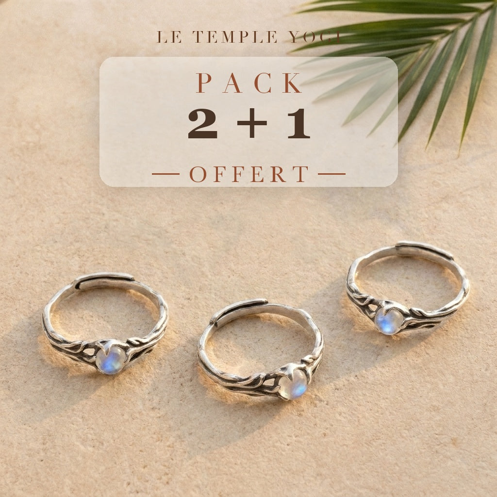 Pack 2+1 offert