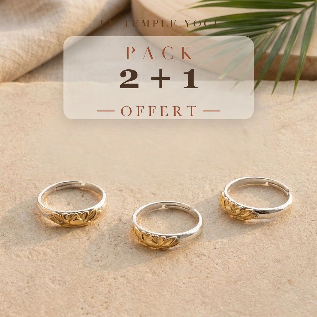 Pack 2+1 offert