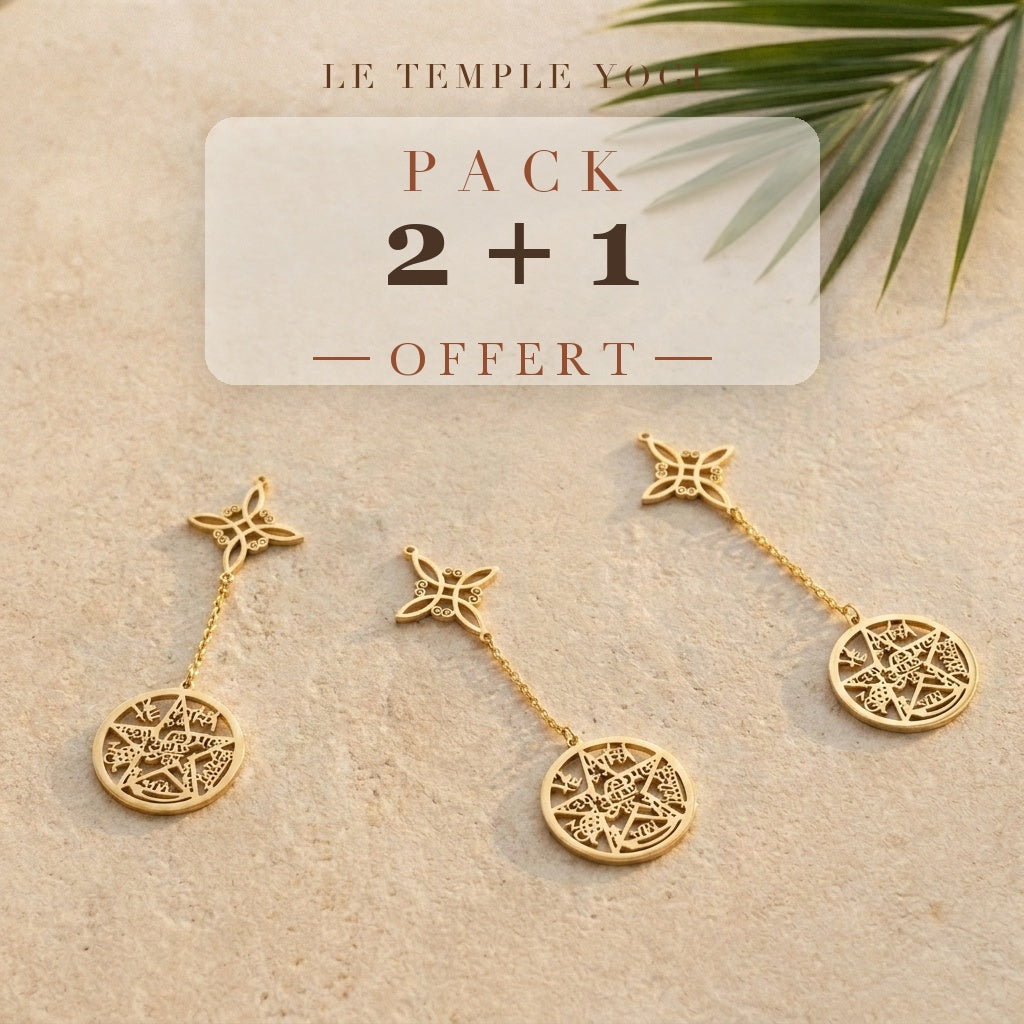 Pack 2+1 offert