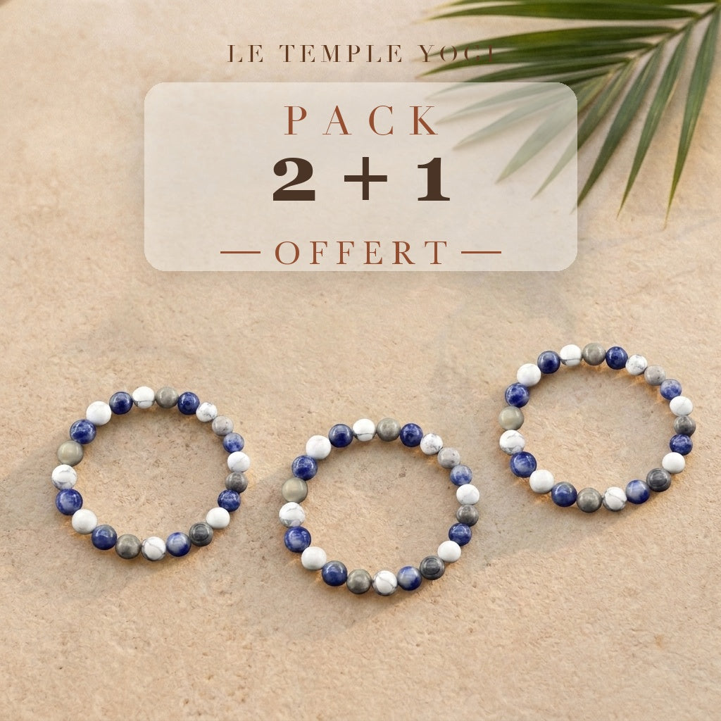 Pack 2+1 offert