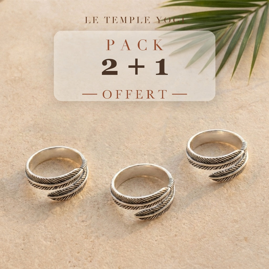 Pack 2+1 offert