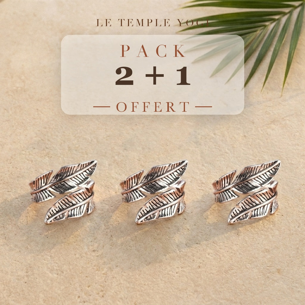Pack 2+1 offert