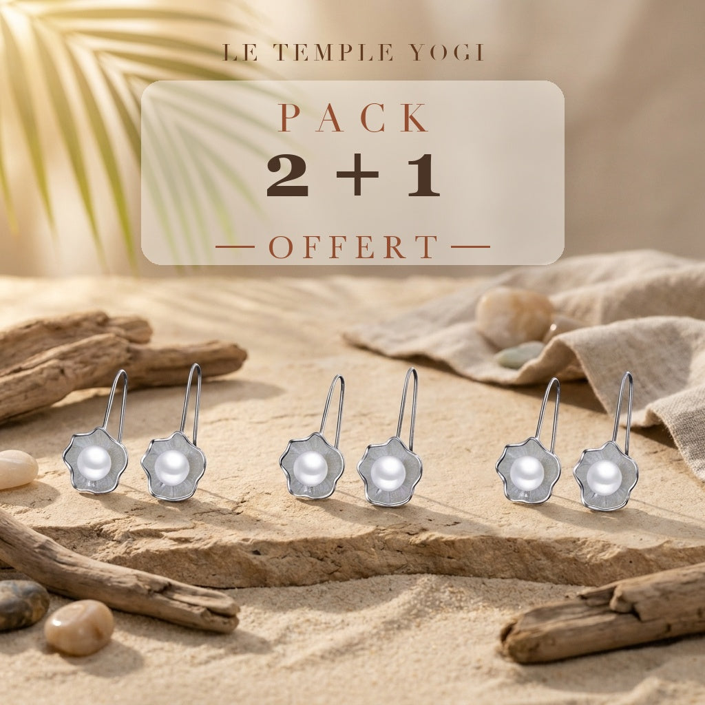 Pack 2+1 offert
