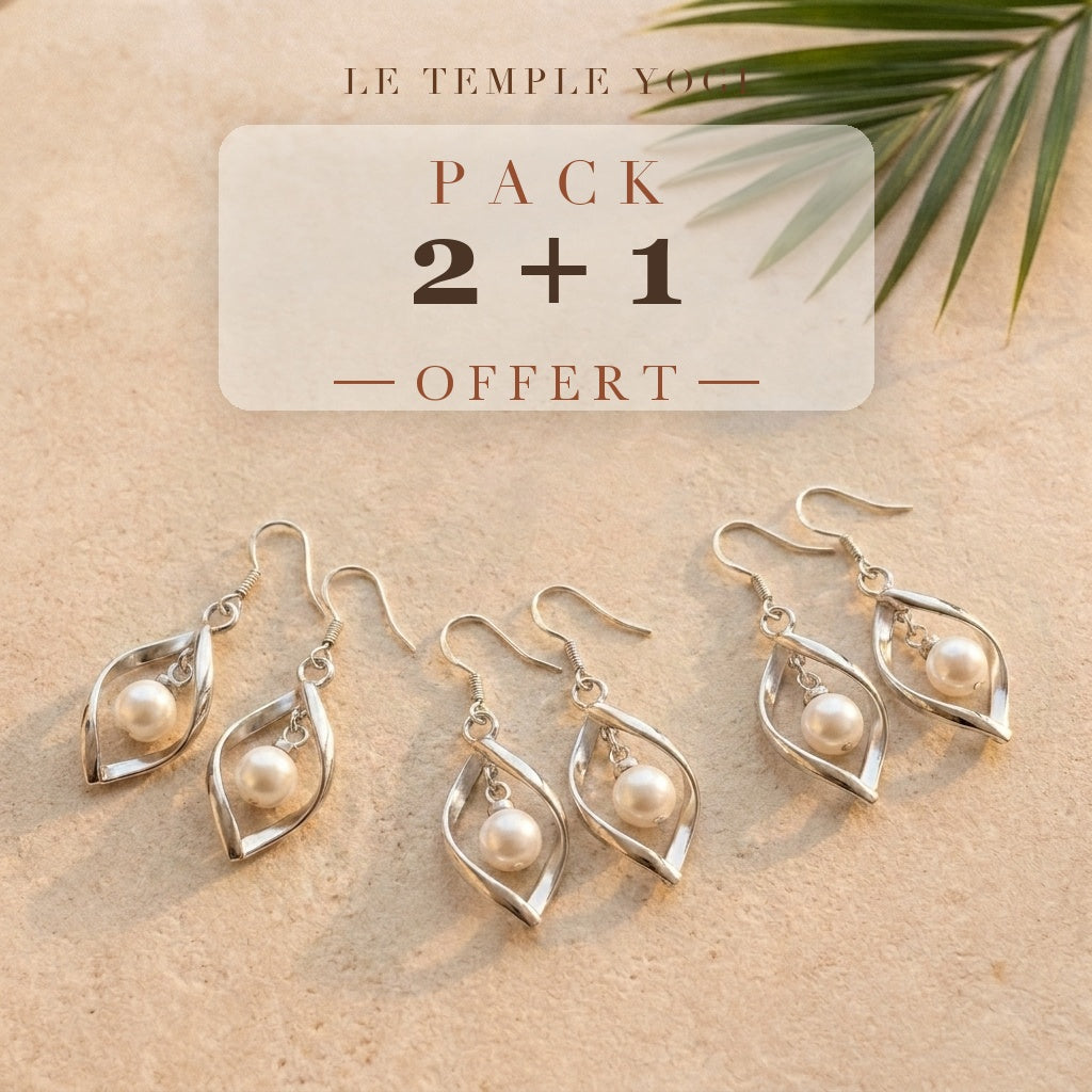 Pack 2+1 offert