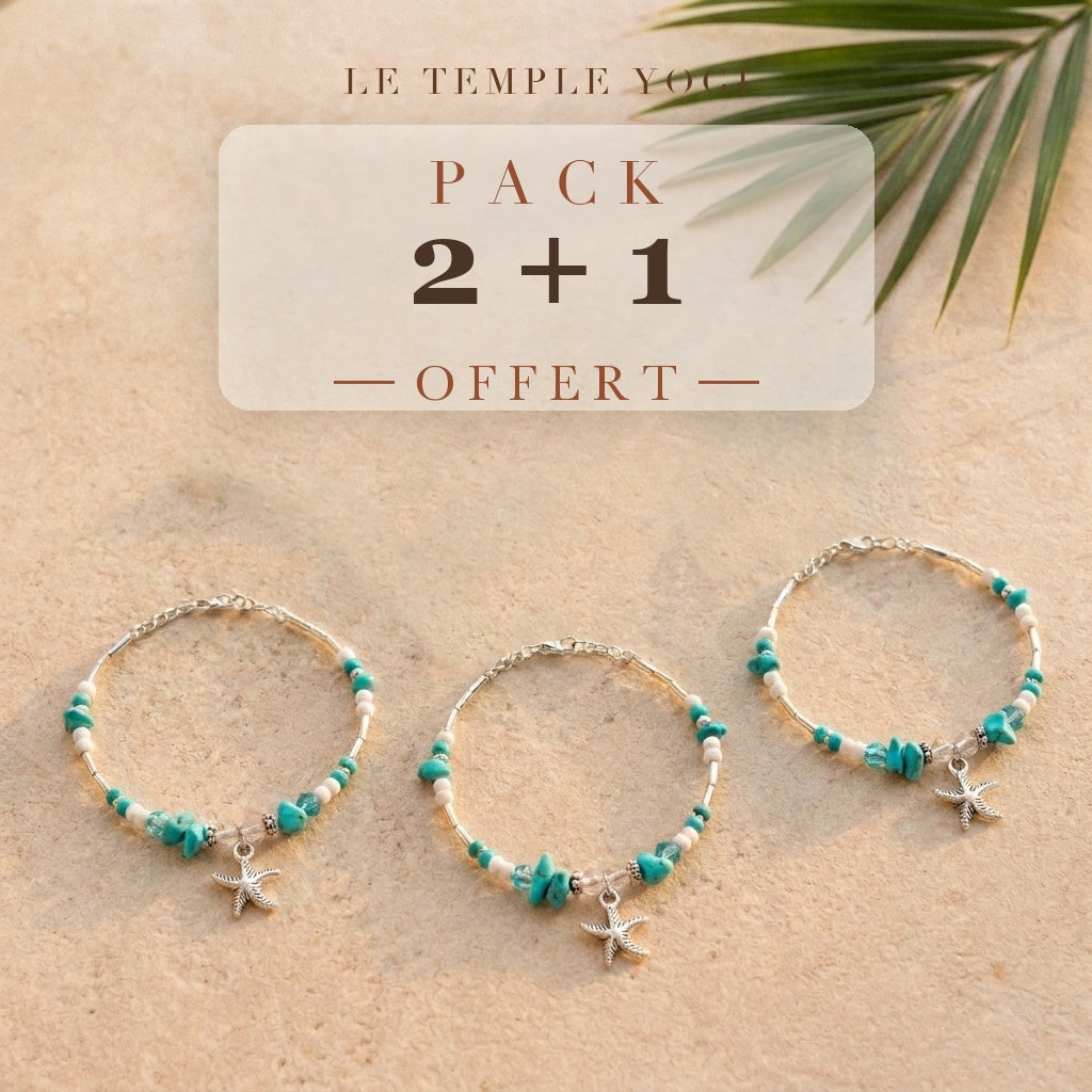 Pack 2+1 offert