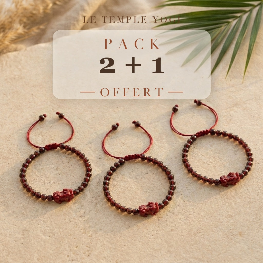 Pack 2+1 offert