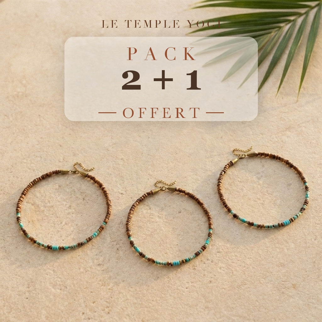 Pack 2+1 offert
