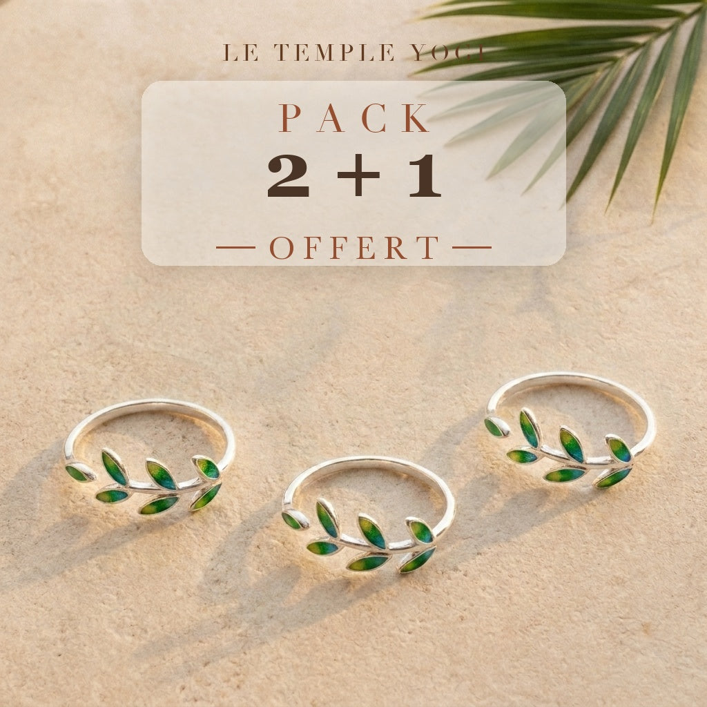 Pack 2+1 offert