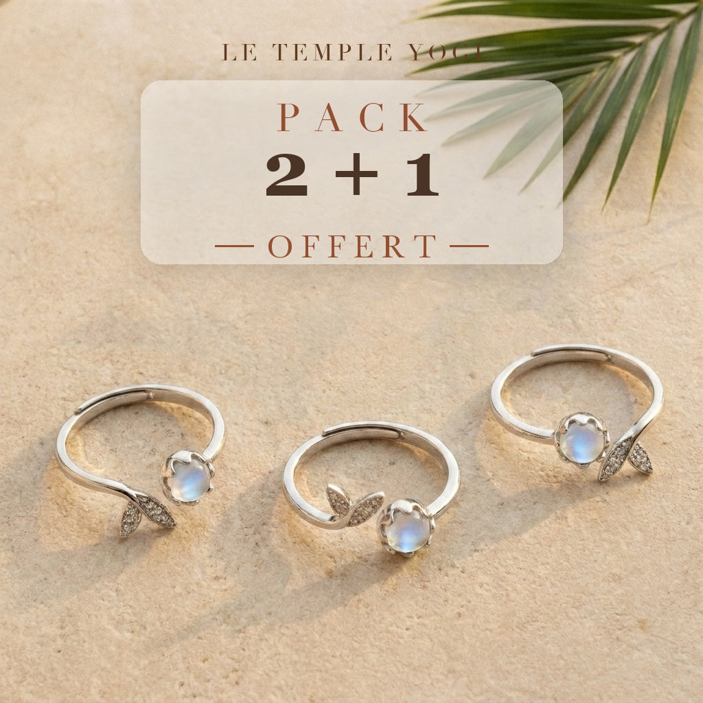 Pack 2+1 offert