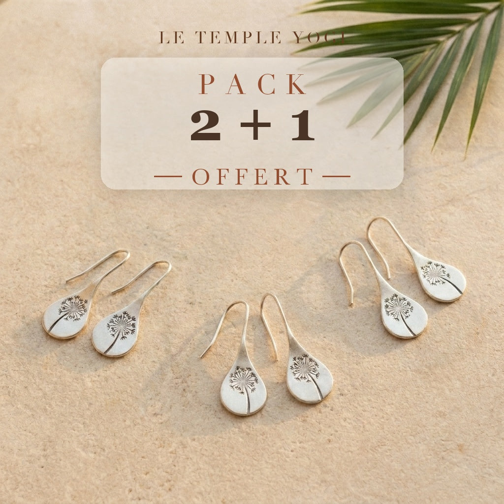 Pack 2+1 offert