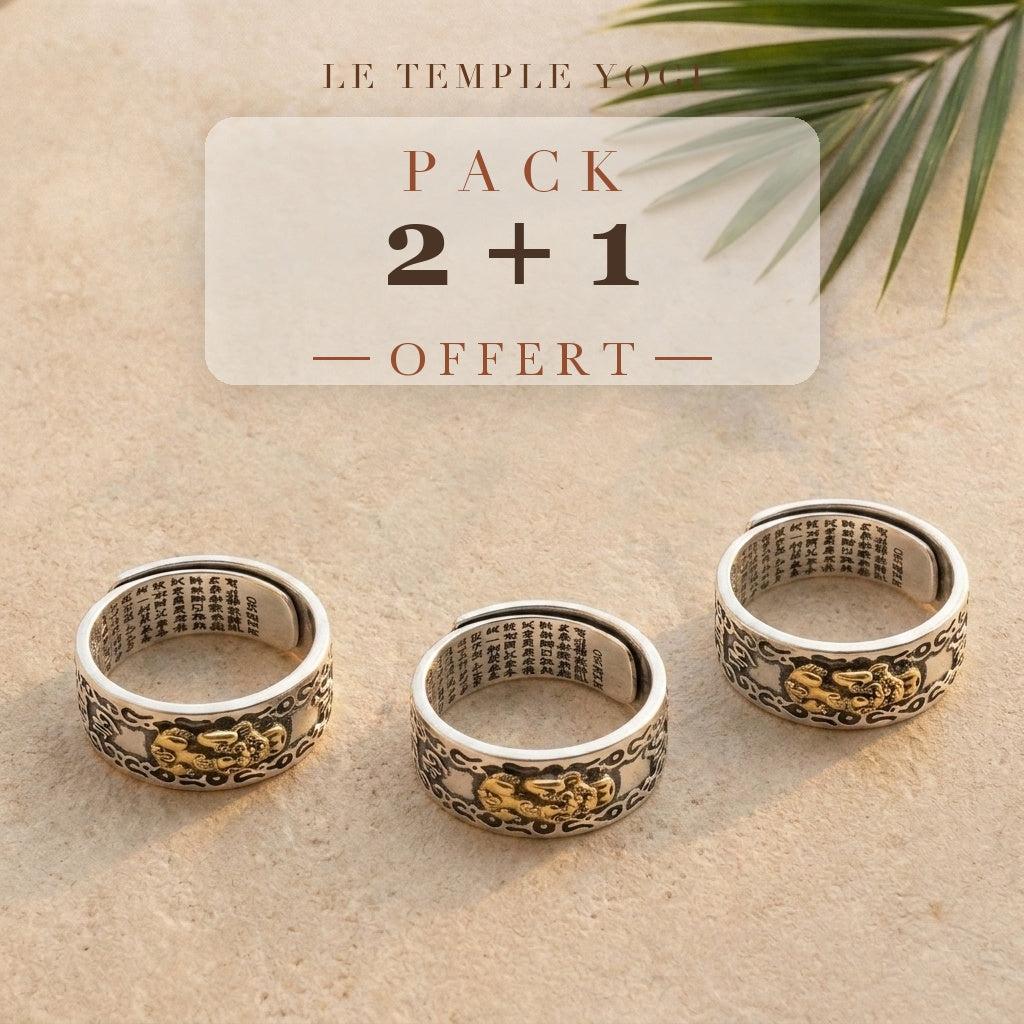 Pack 2+1 offert