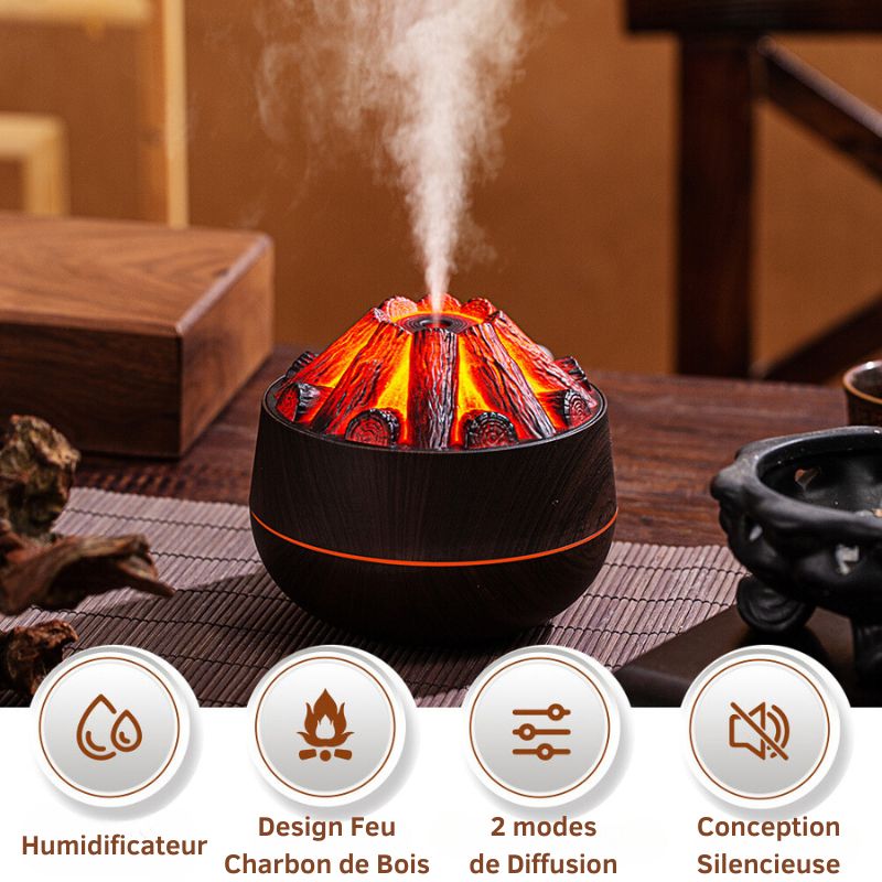 Diffuseur Humidificateur Charbon de Bois