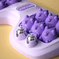 Dispositif de massage pour pieds avec boules