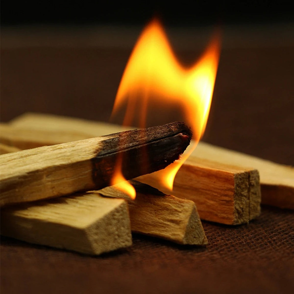 Lot de dix bâtons d'encens en bois naturel vus de près