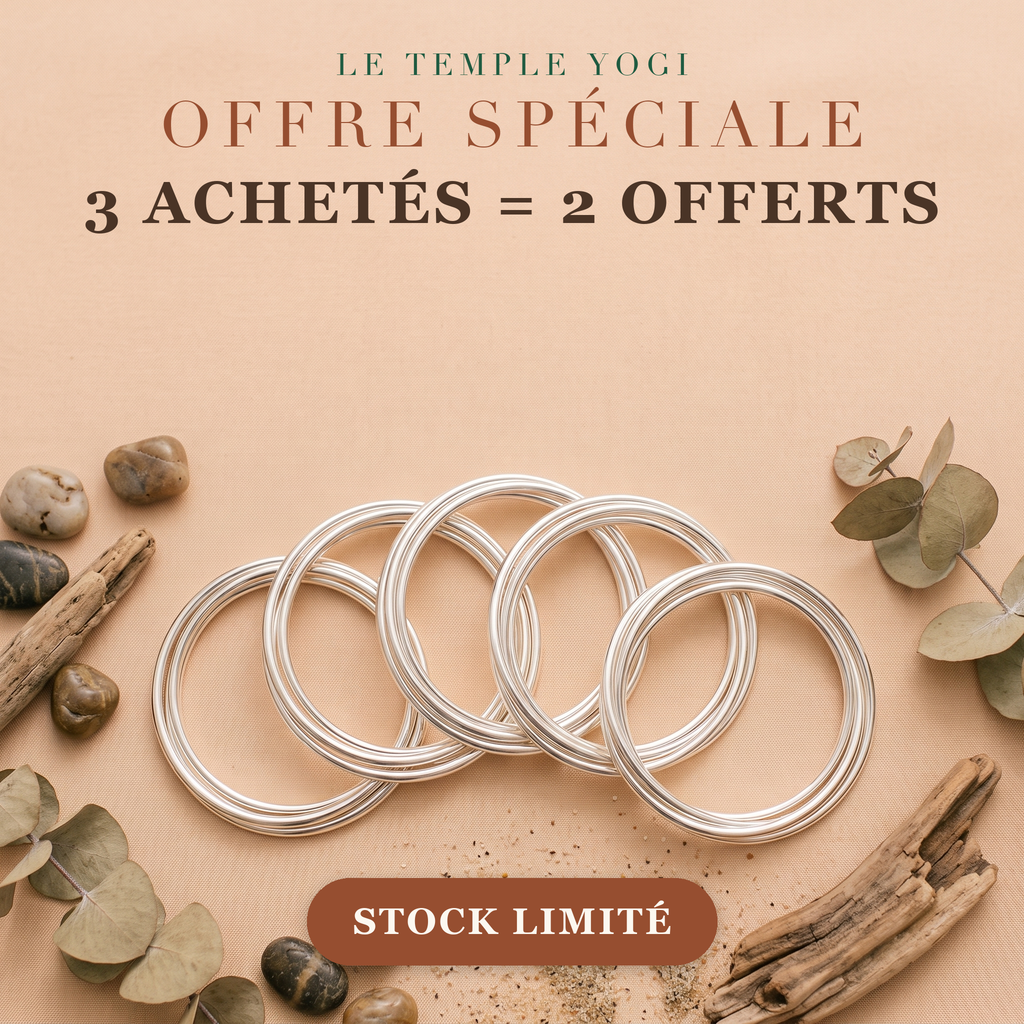 Offre 3 achetés 2 offerts trio de joncs