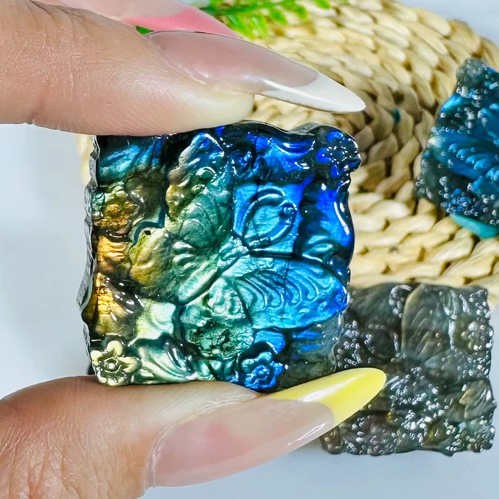 Labradorite avec Papillon Sculpté tenue par une personne Image