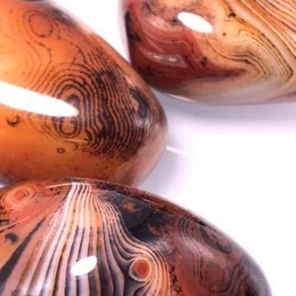 Pierre roulée Sardonyx - Détail de la pierre