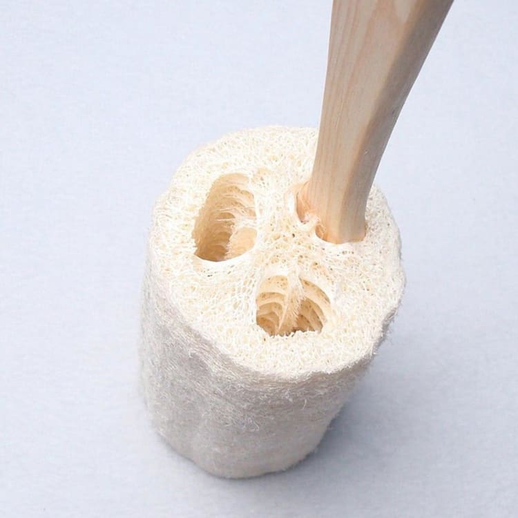 Brosse pour le dos exfoliante naturelle Luffa