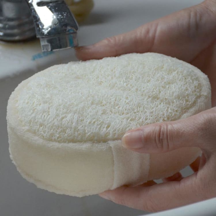 Eponge naturelle en Luffa Image
