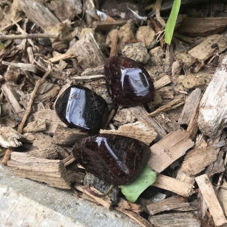 Grenat Rouge roulé - pierre