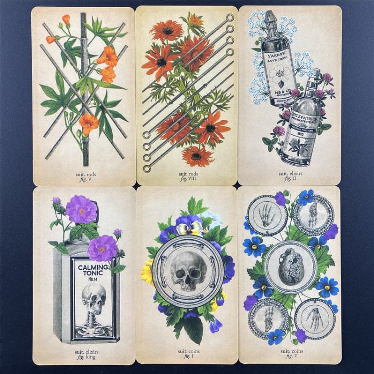 Jeu de Tarot ’Anatomie Antique’
