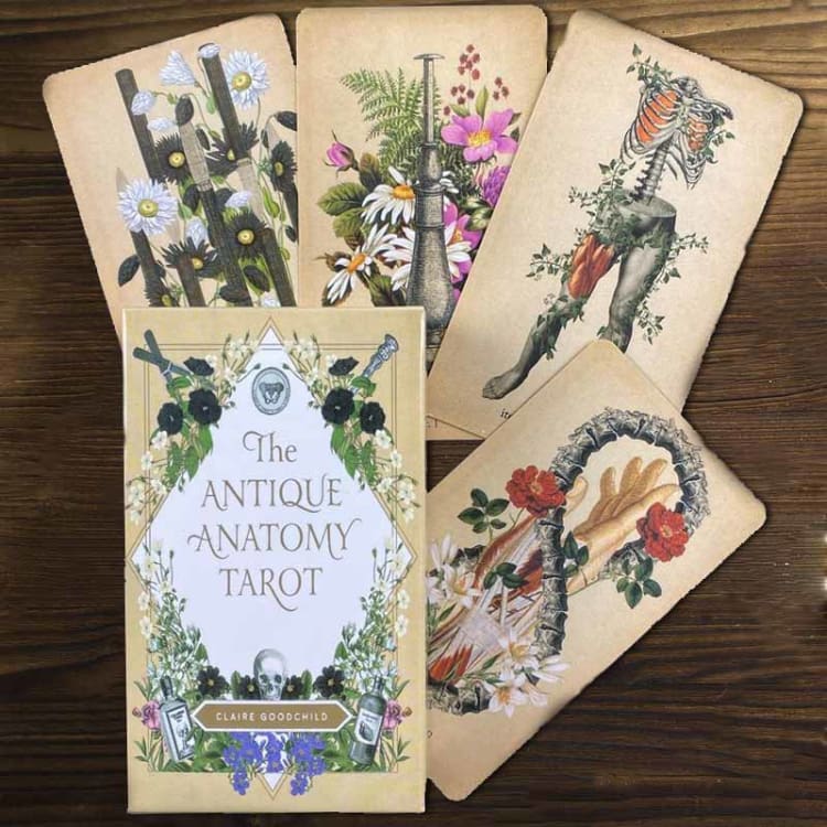 Jeu de Tarot ’Anatomie Antique’