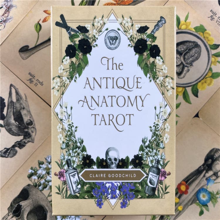 Jeu de Tarot ’Anatomie Antique’