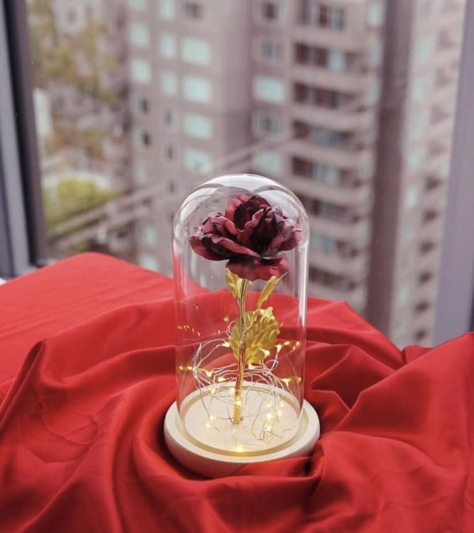 La Rose éternelle sous cloche - decoration