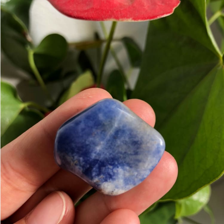 Sodalite Roulée - Pierre